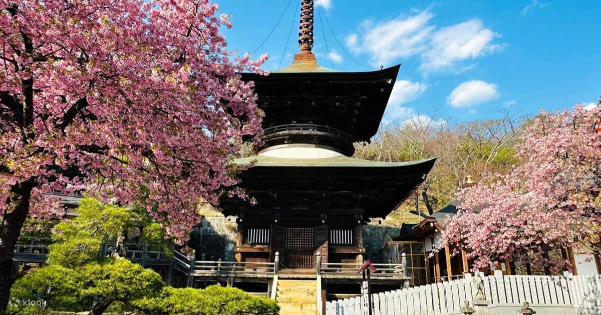 One-Day Tour: Ibaraki Rain Attraction Kannon Senbon Sakura +